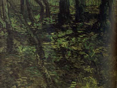 Vincent Van Gogh Undergrowth with Ivy (nn04)